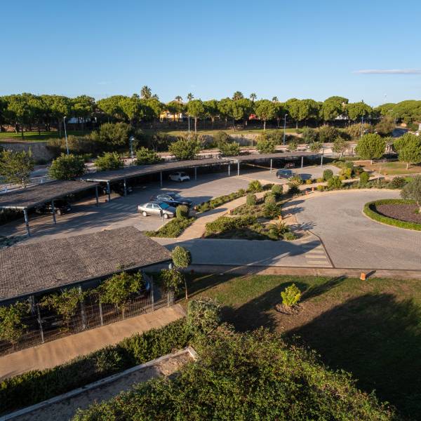Pico de Loro, bares y pubs en El Puerto de Santa María